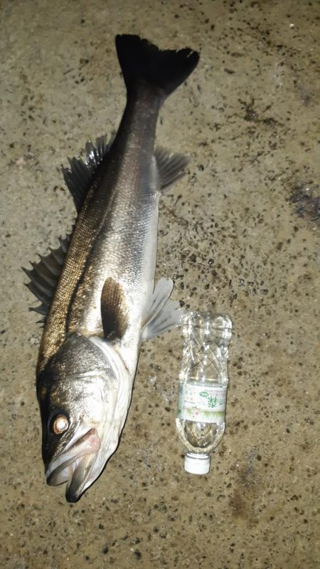 1週間ぶりに行ってきました。