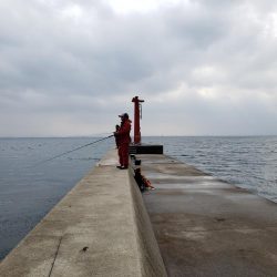雨上がりそうなのて出撃してみました