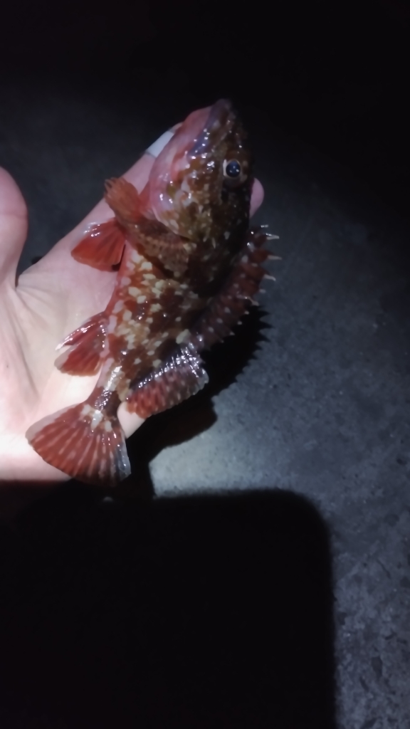 唐揚げ食べたい