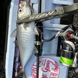 やっぱりスプリット