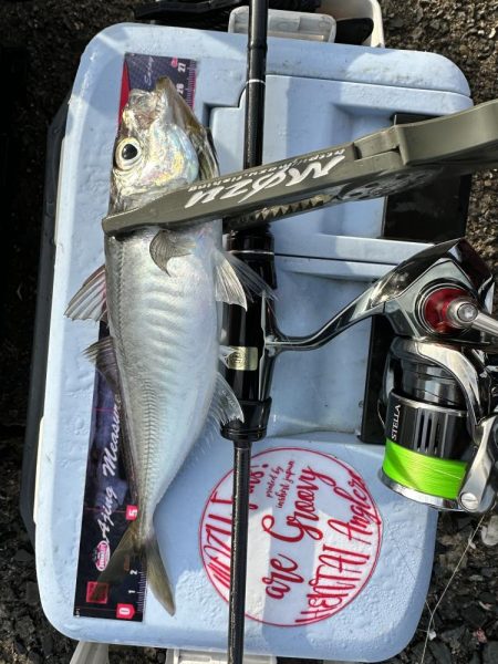 やっぱりスプリット