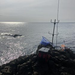 たかたかの釣り日記