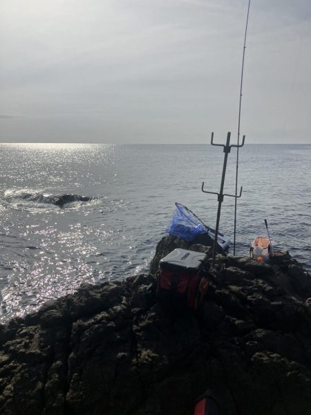 たかたかの釣り日記