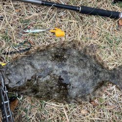 青物釣れずサーフで投げたらたまたま