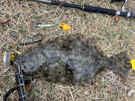 青物釣れずサーフで投げたらたまたま