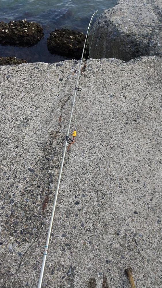 ファーストフィッシュ