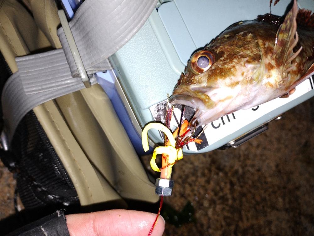 自作簡易マイラバ