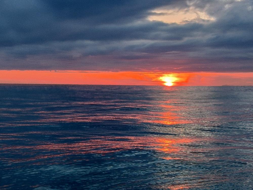 そろそろ終盤？