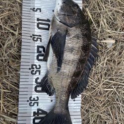 イチノ兄弟（兄）釣果！