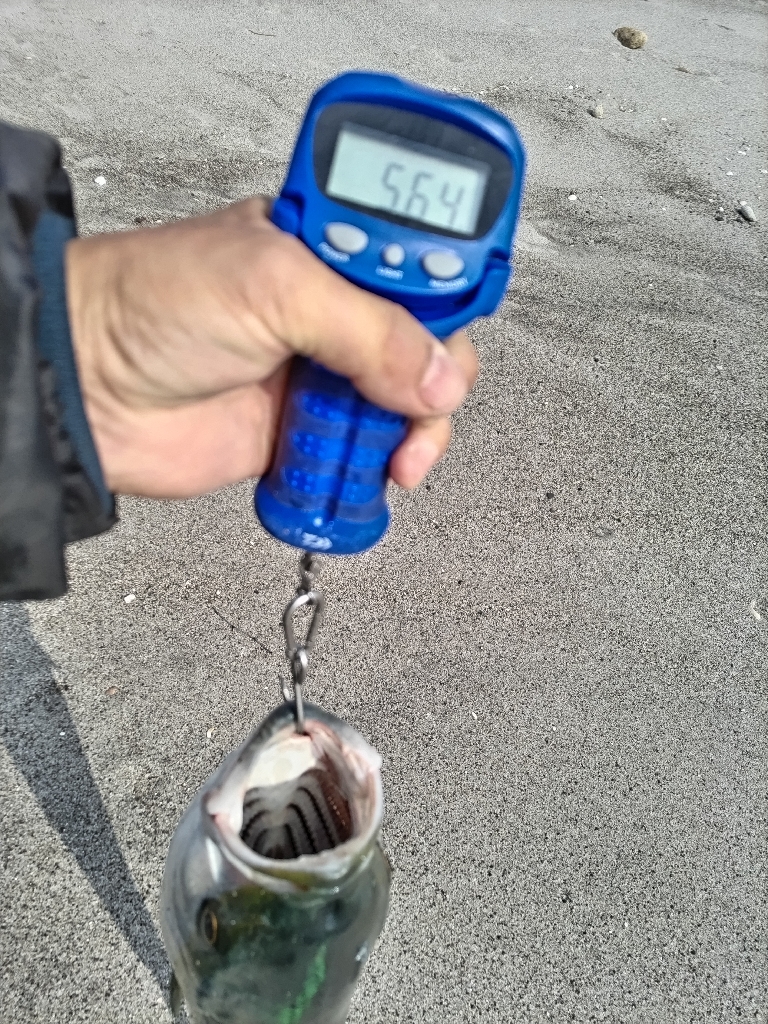 吹上浜にて砂鰤ゲット!