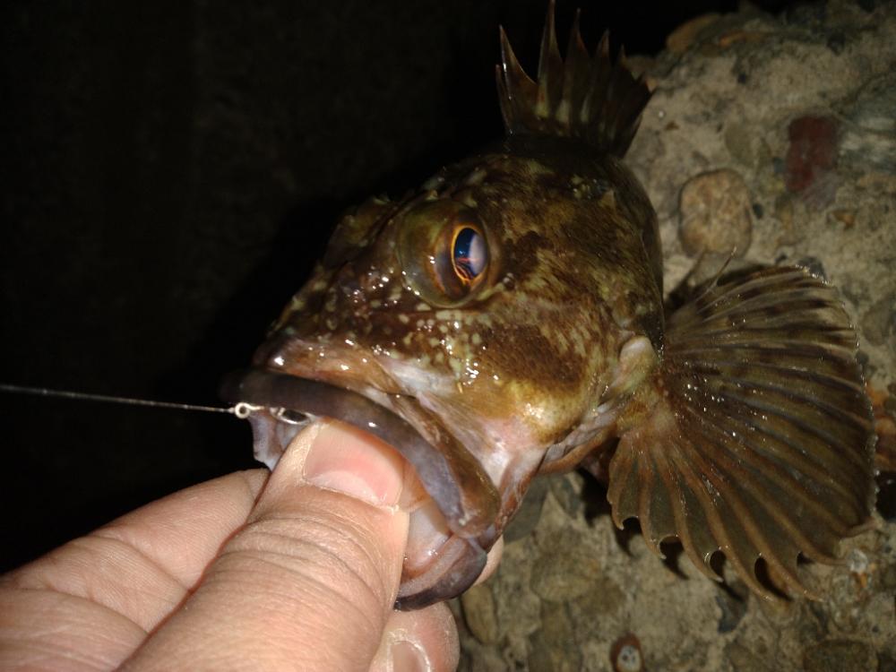 ちょい釣り20230226