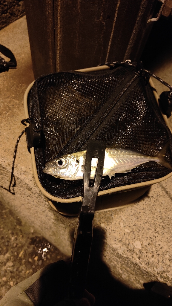 昨日のリベンジ