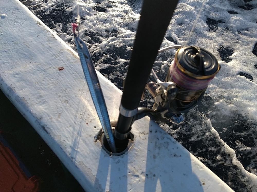 トンボジギング