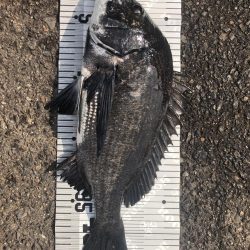 イチノ兄弟（兄）釣果！