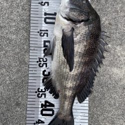 イチノ兄弟(兄)釣果!