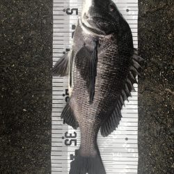 イチノ兄弟（兄）釣果！