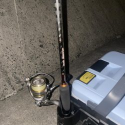 今年初メバリングも