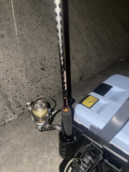 今年初メバリングも