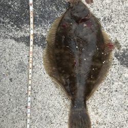 投げていろいろ