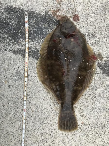 投げていろいろ