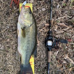 初バスを釣りに