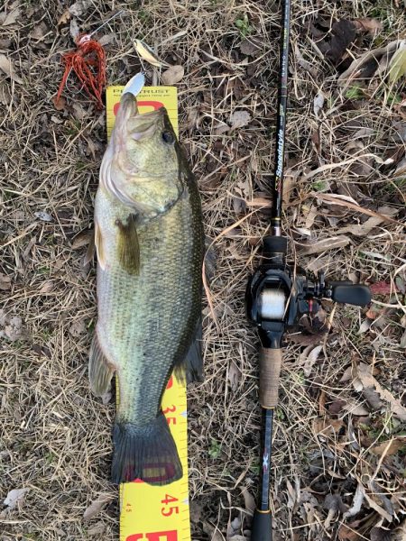 初バスを釣りに