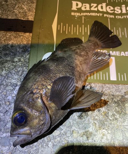 やっぱり渋いメバリング