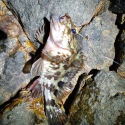 寒い😣渋い😣