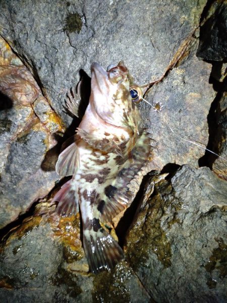 寒い😣渋い😣…