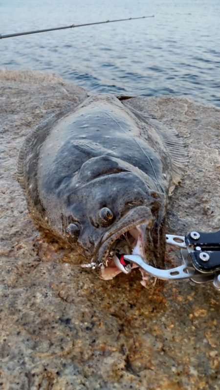 極寒の紀ノ川恐るべし！
