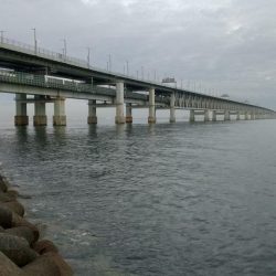 メバルを釣りたくて