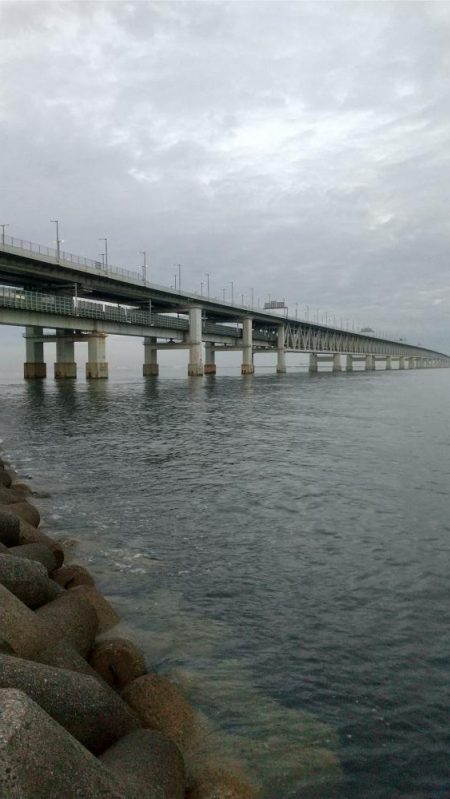 メバルを釣りたくて