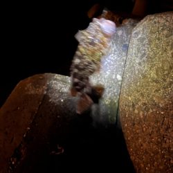 比較的暖かい夜