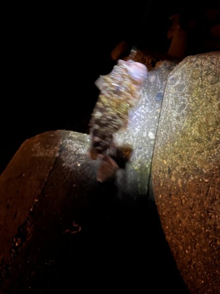 比較的暖かい夜