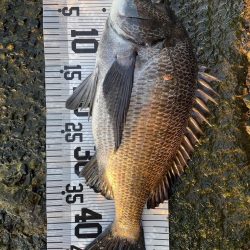 イチノ兄弟（兄）釣果！