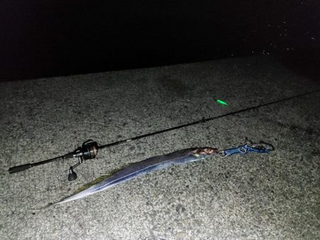 太刀魚ワインド