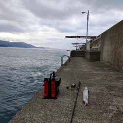 太刀魚ジギング