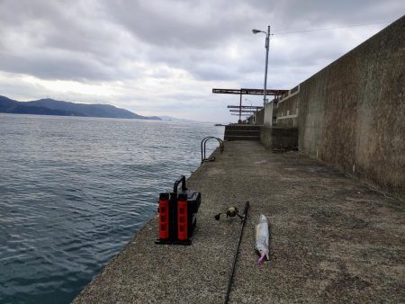 太刀魚ジギング