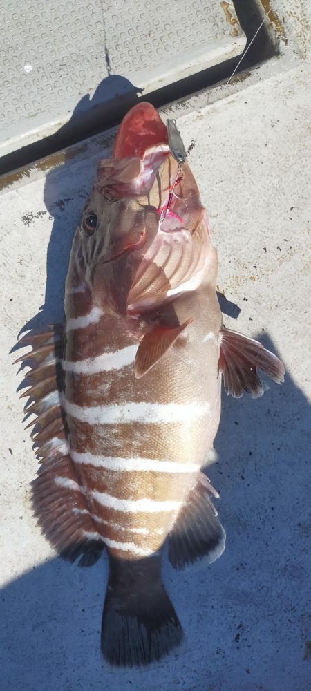 良型ウマイやつ