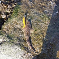 真冬のフラット狙い…なのに…