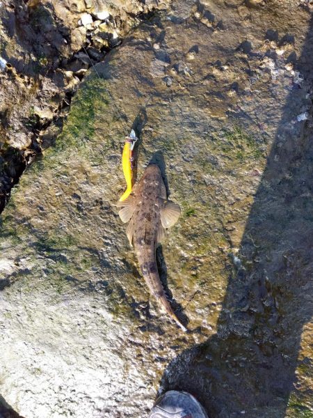 真冬のフラット狙い…なのに…