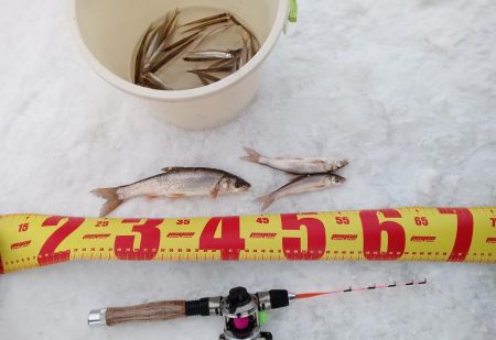 茨戸川付近でのワカサギ釣り！！