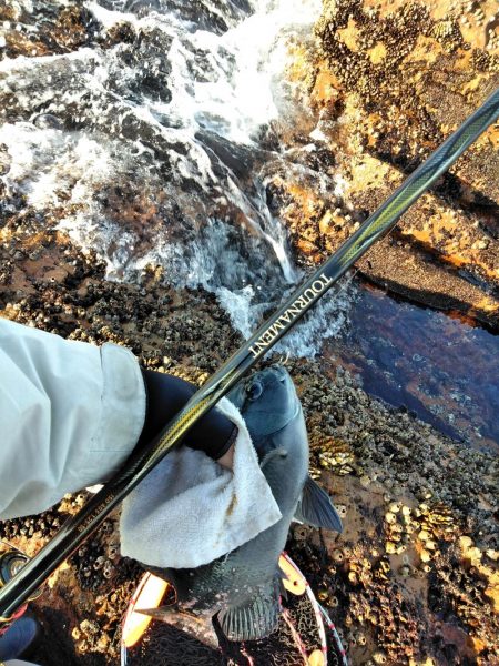 フカセ‥最高ですネ・・