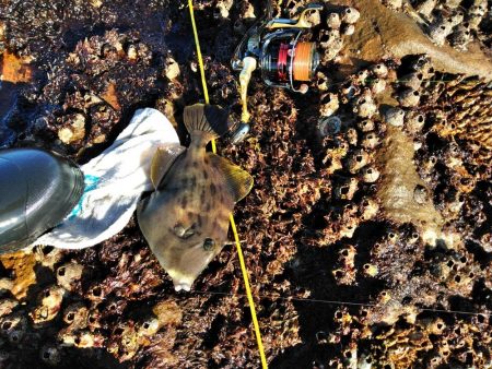 フカセ‥最高ですネ・・