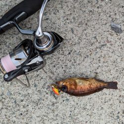 デイメバリング