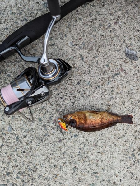 デイメバリング