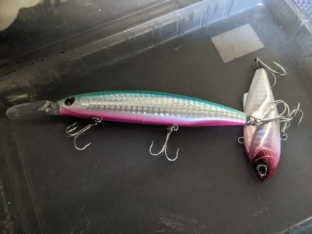 ランカーゲット!