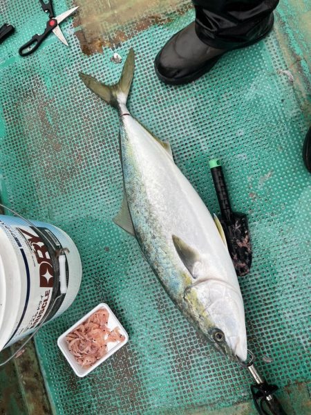 串本カセ　リベンジマッチ