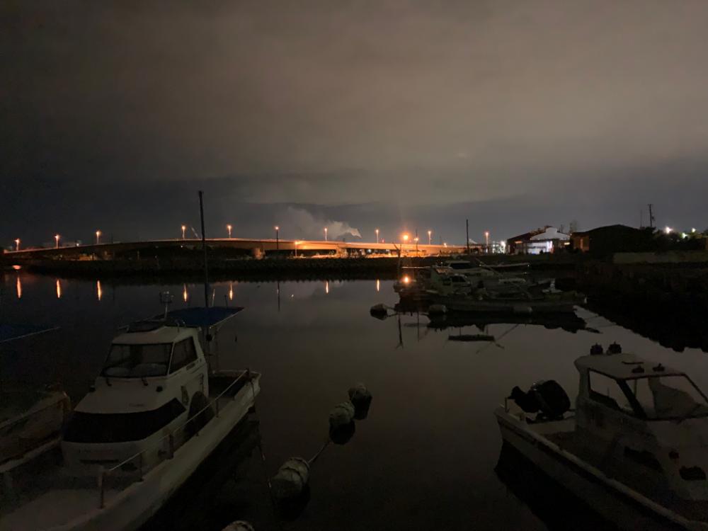 タケノコメバル③