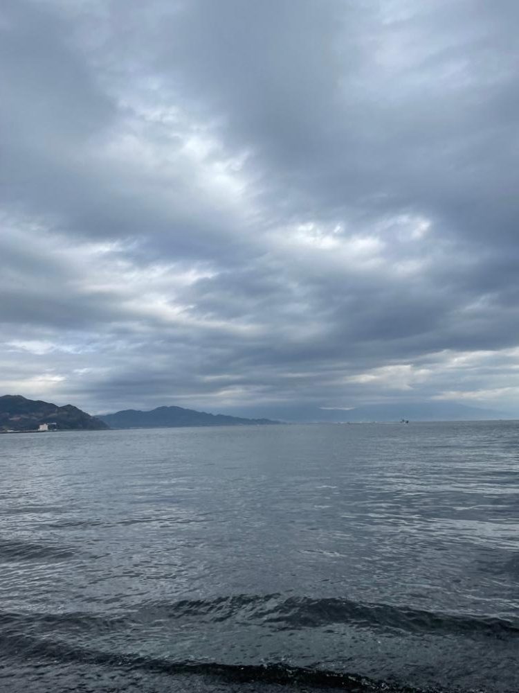 冬のサーフ調査